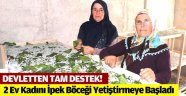 Devlet Destek Oldu, 2 Ev Kadını İpek Böceği Yetiştirmeye Başladı